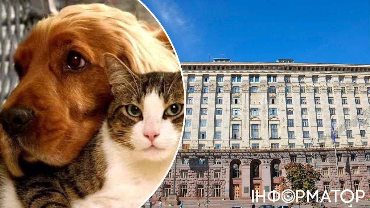 Проєкт правил утримання домашніх тварин у Києві