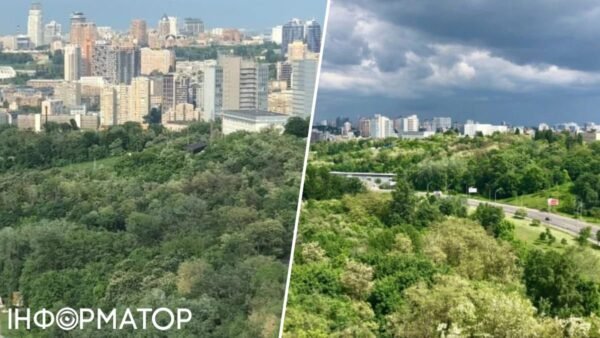 Зелені насадження Протасового Яру в Києві