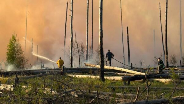 Дим над лісами Чорнобильської зони відчуження під час пожежі