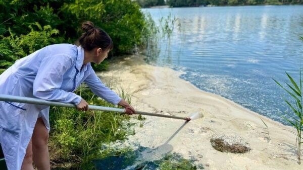 Піна на поверхні озера Небреж в Осокорках