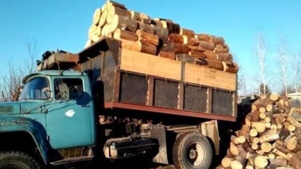 Домогосподарство, яке опалюється дровами, субсидія на паливо