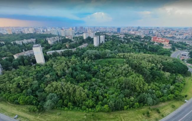 Зелений ландшафт Протасового Яру з деревами, що тягнуться догори