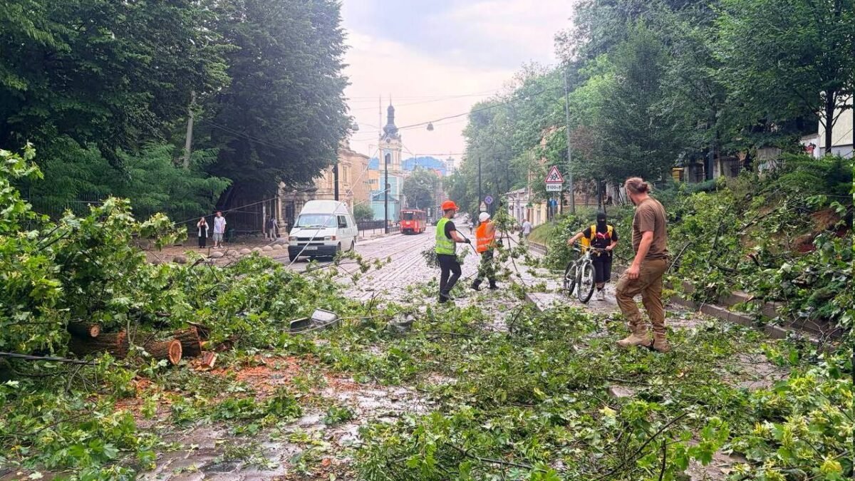 Наслідки негоди 29 червня у Києві: повалене дерево на вулиці