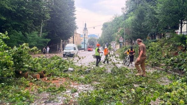 Наслідки негоди 29 червня у Києві: повалене дерево на вулиці