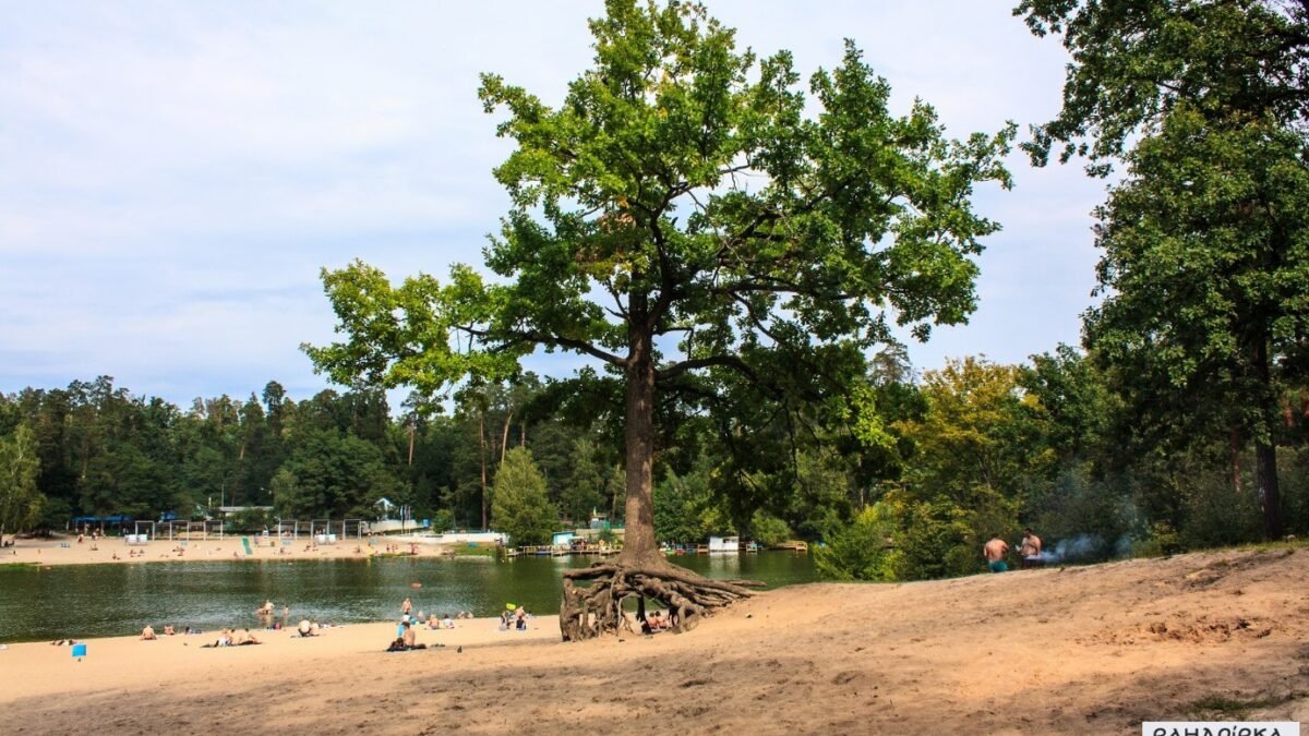 Муніципальний пляж у Києві, перевірка води