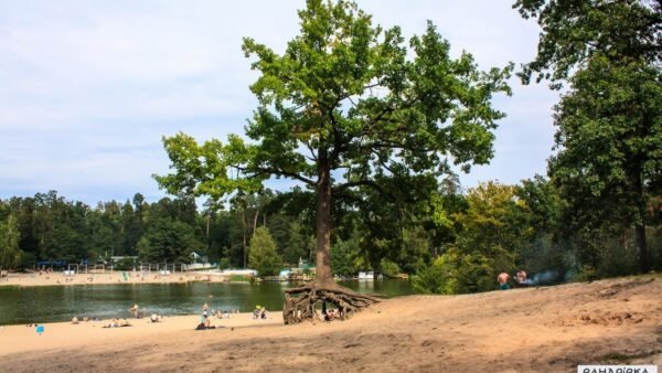Муніципальний пляж у Києві, перевірка води