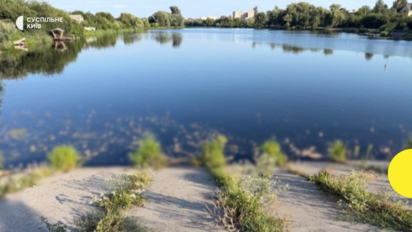 Забруднення водойми у Борщагівській громаді