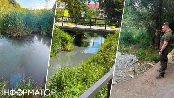 Масова загибель риби у водоймах Борщагівської громади