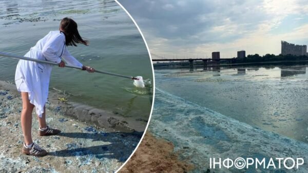 Позеленіла вода Дніпра та піна біля берегів