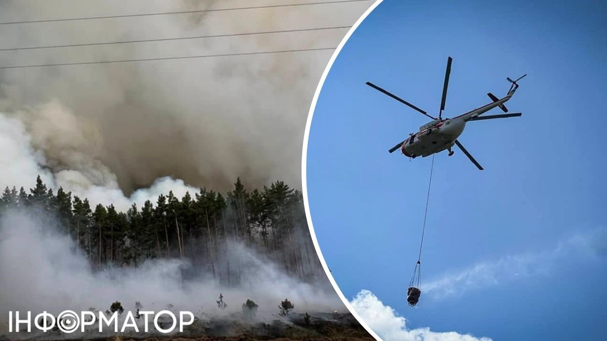 Лісова пожежа біля села Богдани, Вишгородський район