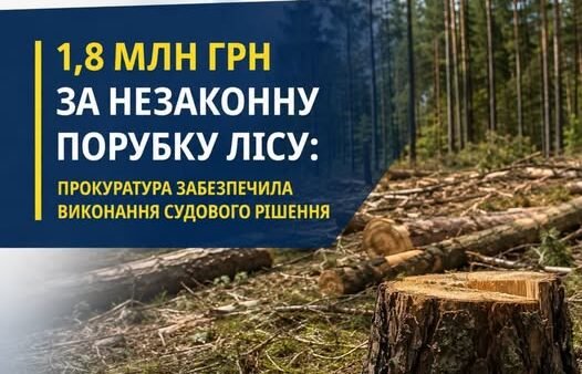 Стягнення збитків за незаконну порубку лісу на Київщині