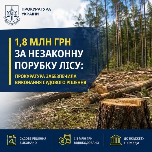 Стягнення збитків за незаконну порубку лісу на Київщині