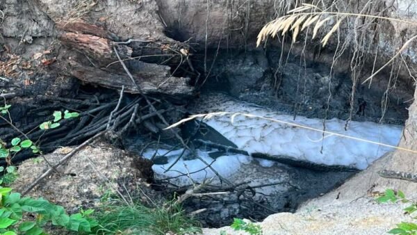 Стічні води забруднюють річку Унава у Фастівському районі