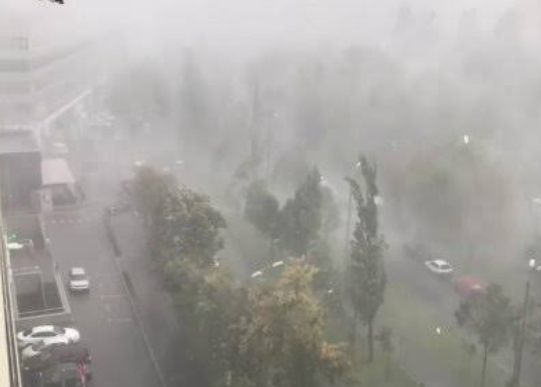 Пошкоджені будинки та повалені дерева після урагану на Київщині