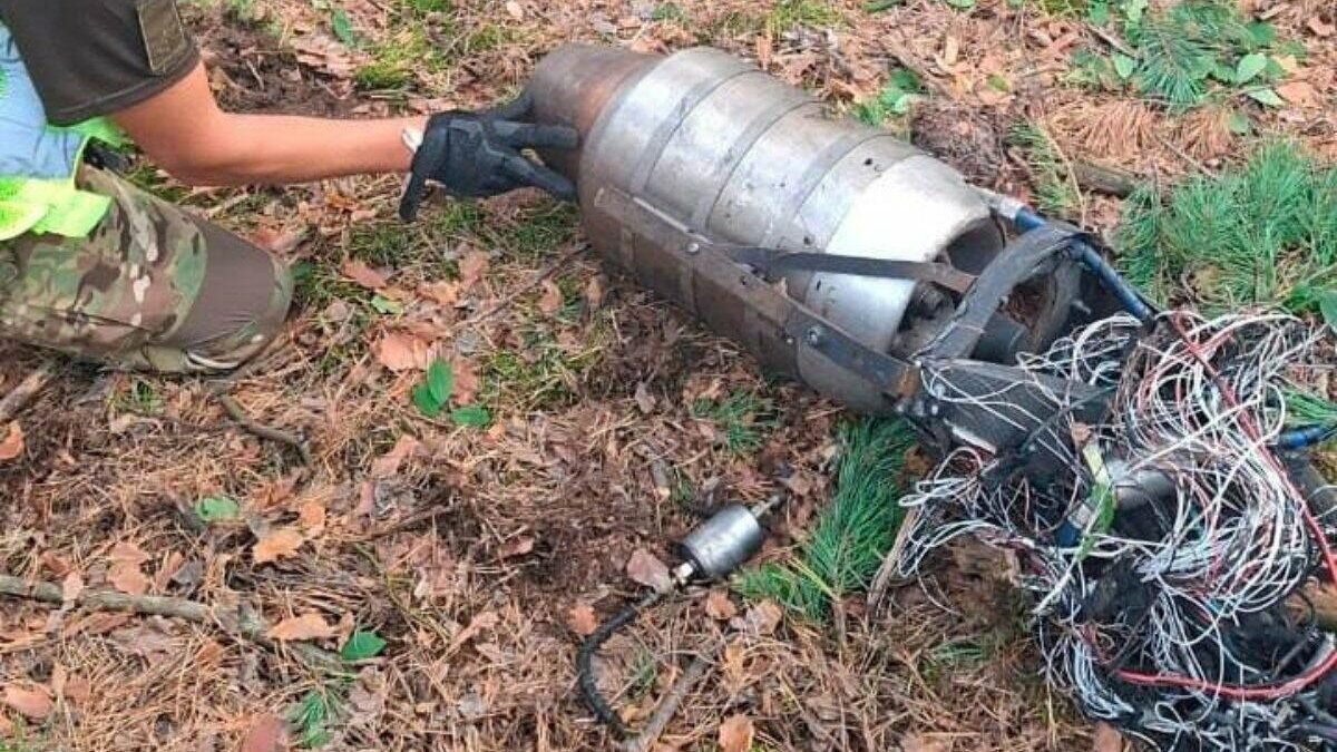 Уламки безпілотника типу «Герань-4» у лісопарковій зоні Києва