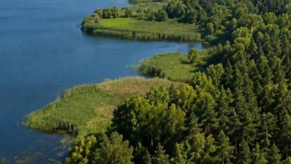 Земельні ділянки в Київській області, повернуті за рішенням суду