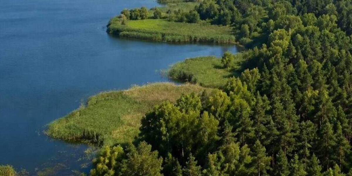 Земельні ділянки в Київській області, повернуті за рішенням суду
