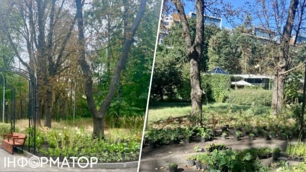 Тіньовий сад у парку імені Івана Багряного