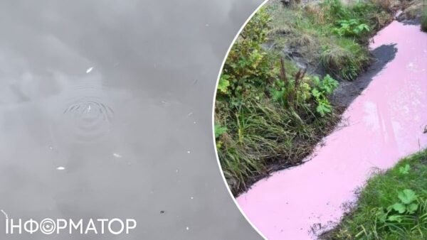 Загибла риба в озері Коцюбинського через токсичну воду