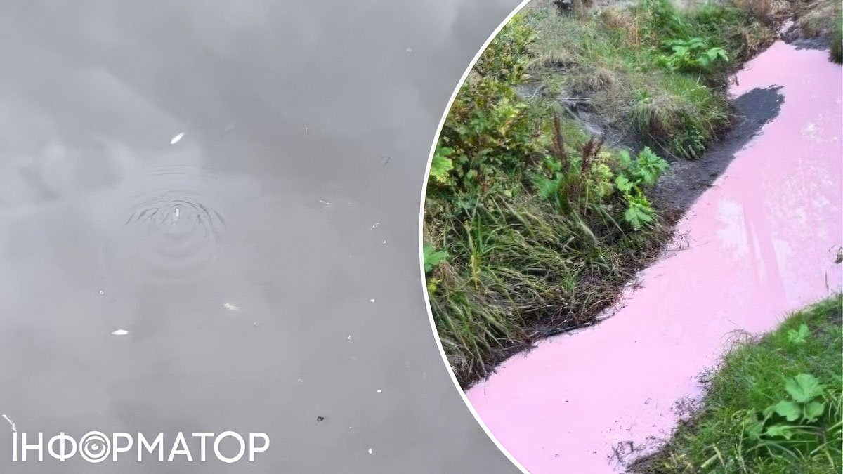 Загибла риба в озері Коцюбинського через токсичну воду