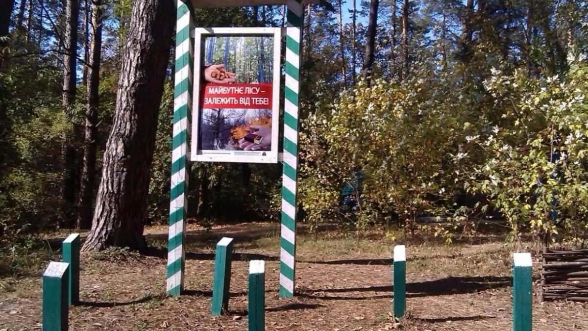 Схема протипожежних смуг у лісі