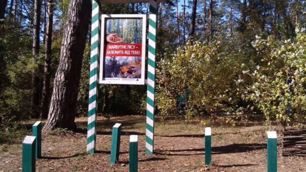 Схема протипожежних смуг у лісі