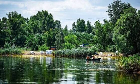 Забруднена річка Борщагівка на Київщині