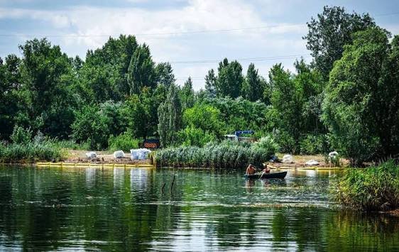 Забруднена річка Борщагівка на Київщині