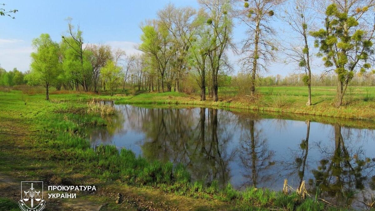 Схема меж заказника Урочище Бобровня на острові Муромець