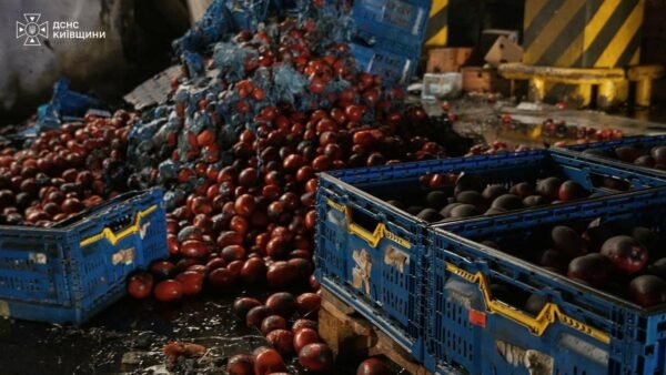Рятувальники ДСНС проводять пошукові роботи на завалах складських приміщень у Бучанському районі