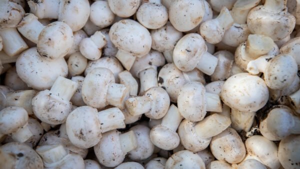 Продуктові ярмарки у Києві