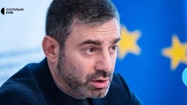 Дмитро Лубінець, Уповноважений Верховної Ради з прав людини