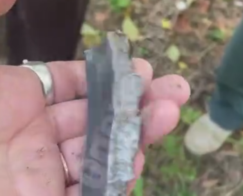 уламки дрона у Голосіївському лісі